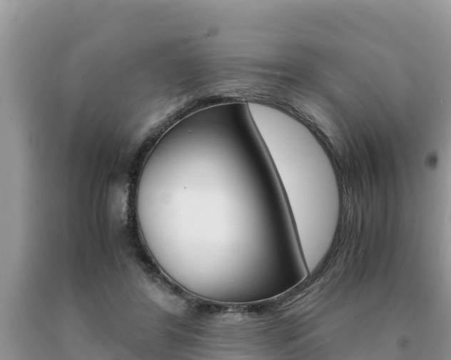 X0000091080404200708061050