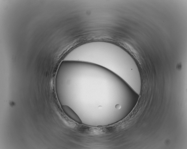 X0000091080405200708061050