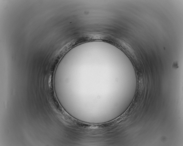 X0000091080406200708061050
