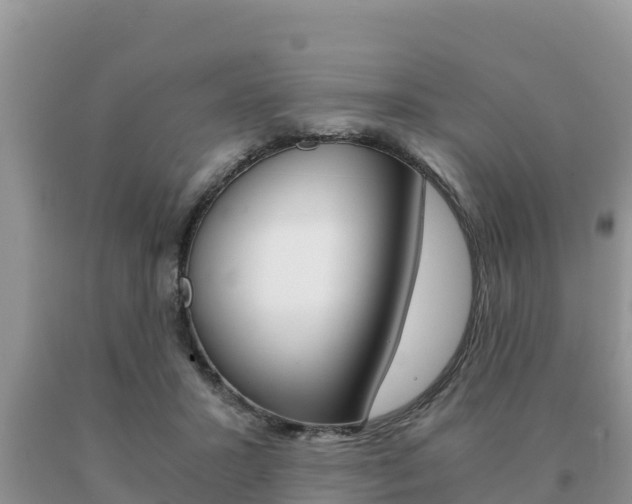 X0000091080407200708061050