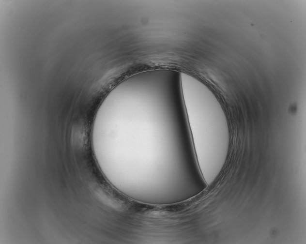 X0000091080408200708061050