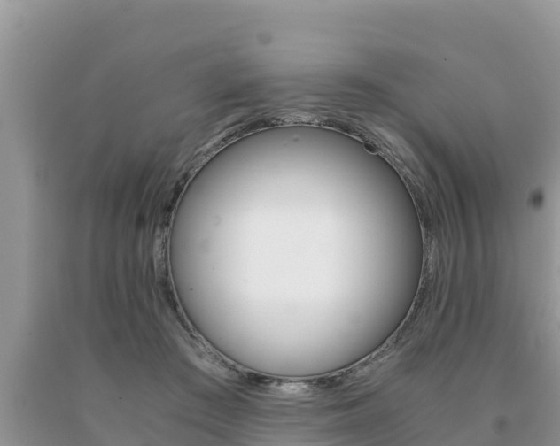 X0000091080409200708061050