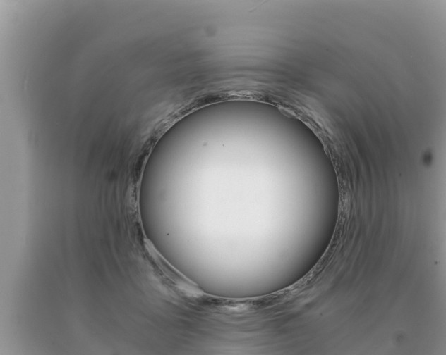 X0000091080411200708061050