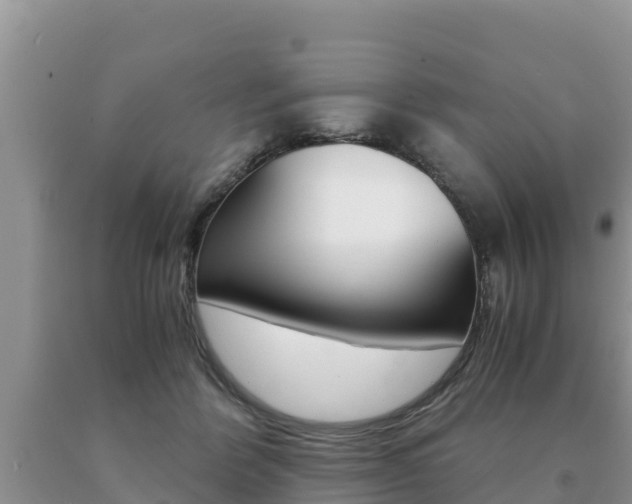 X0000091080412200708061050
