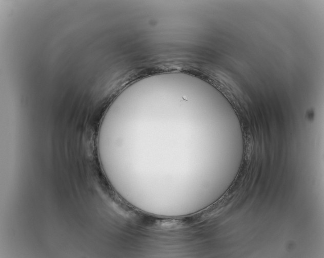 X0000091080414200708061050