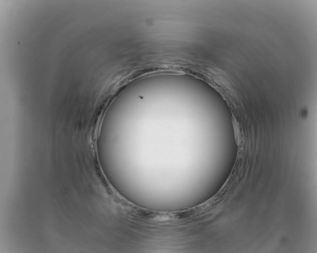 X0000091080415200708061050