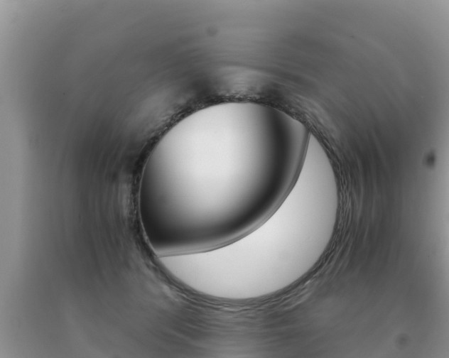 X0000091080416200708061050