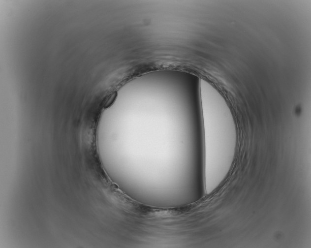 X0000091080417200708061050