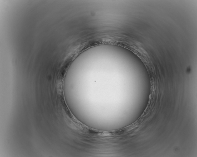 X0000091080419200708061050