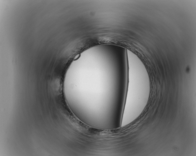 X0000091080420200708061050
