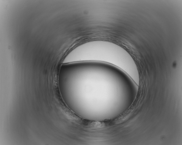 X0000091080421200708061050