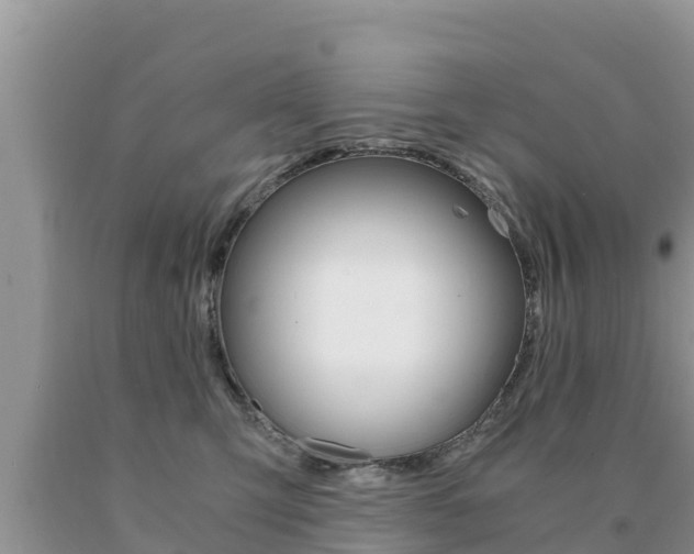 X0000091080423200708061050