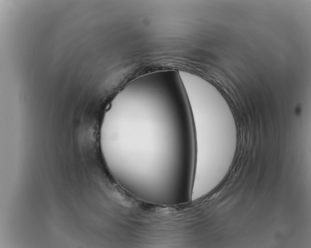 X0000091080424200708061050