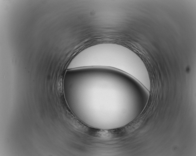 X0000091080425200708061050