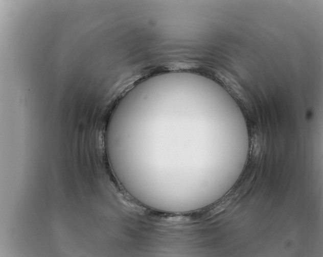 X0000091080426200708061050