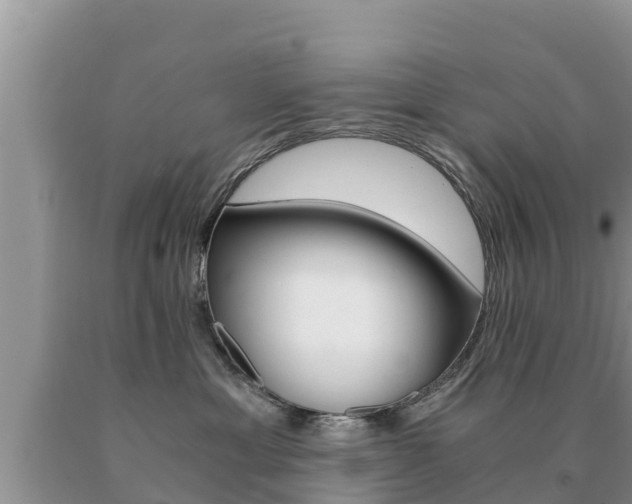 X0000091080429200708061049