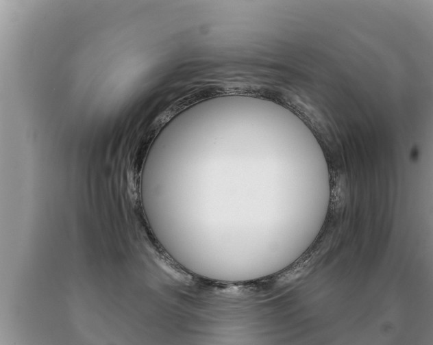 X0000091080430200708061049