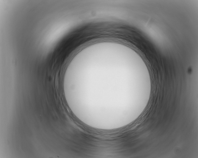 X0000091080431200708061049