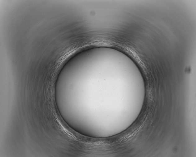 X0000091080433200708061049