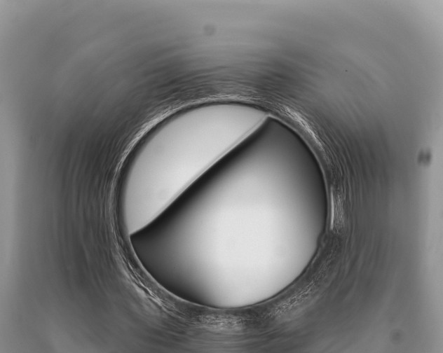 X0000091080435200708061049