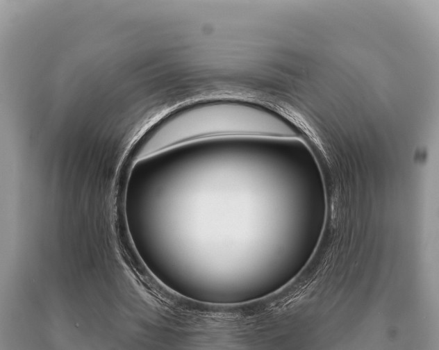 X0000091080436200708061049