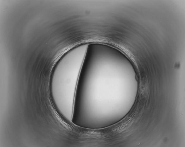 X0000091080437200708061049