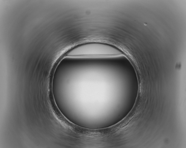 X0000091080438200708061049