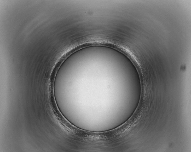 X0000091080439200708061049
