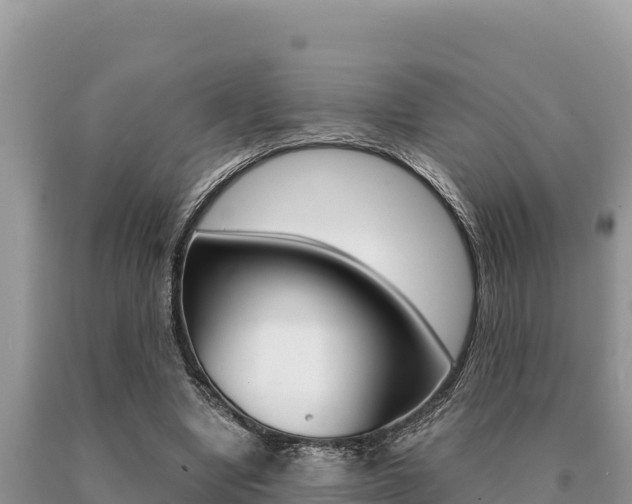 X0000091080442200708061049