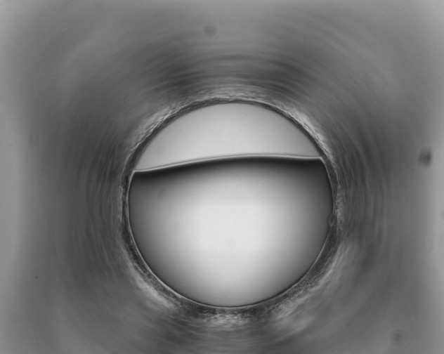 X0000091080445200708061049