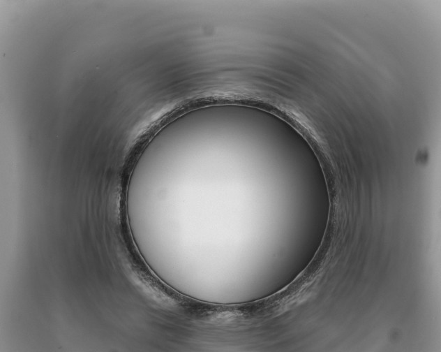 X0000091080446200708061049