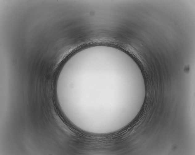 X0000091080448200708061049
