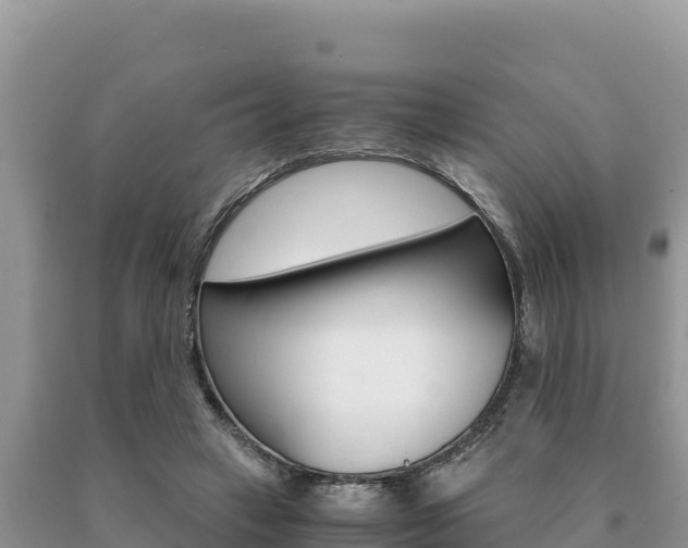 X0000091080449200708061049