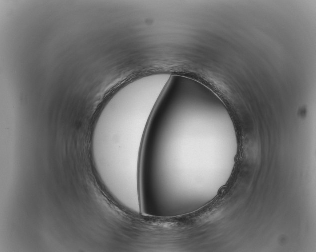 X0000091080450200708061049