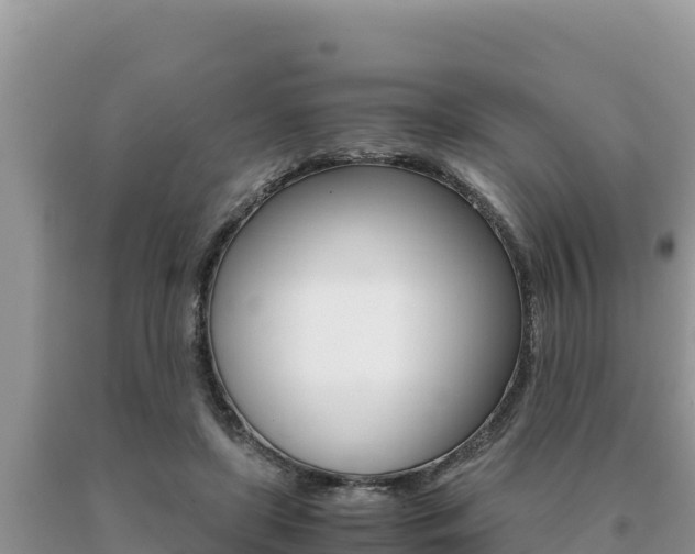 X0000091080451200708061049