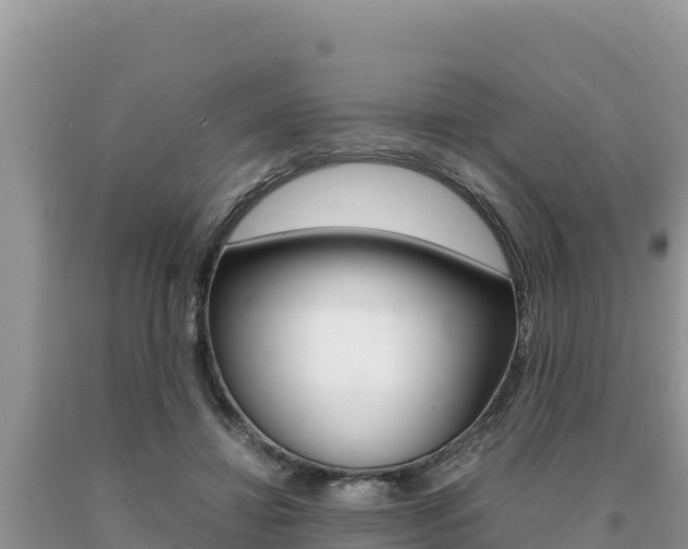 X0000091080452200708061049