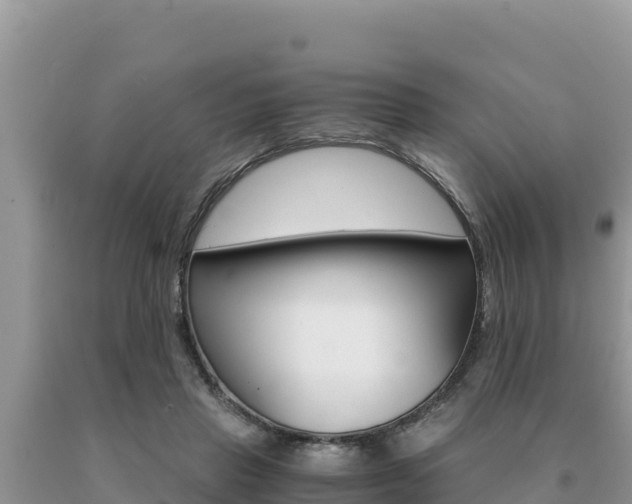 X0000091080453200708061049