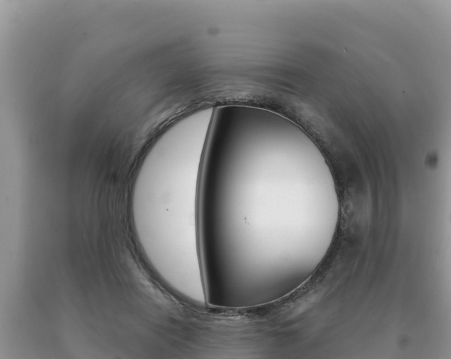 X0000091080454200708061049