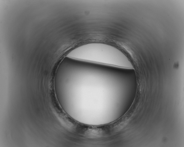 X0000091080455200708061049