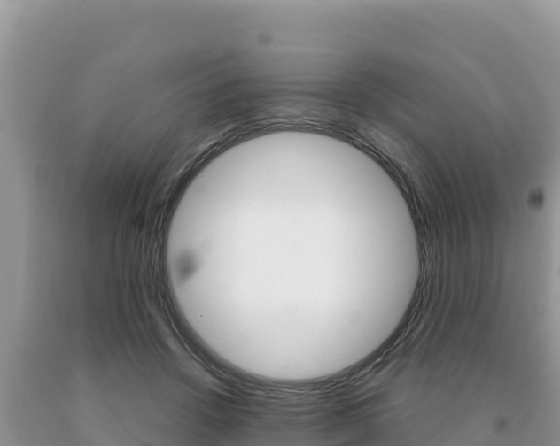 X0000091080456200708061049