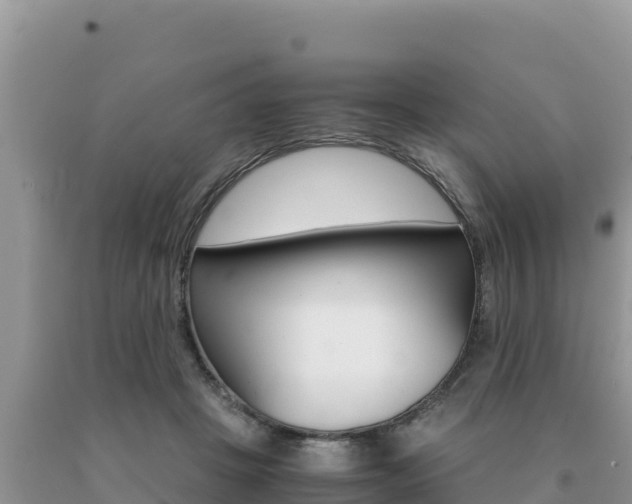X0000091080457200708061049