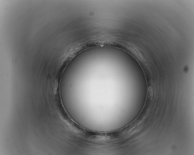 X0000091080458200708061049