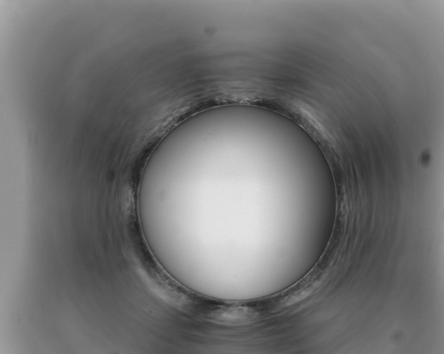 X0000091080459200708061049