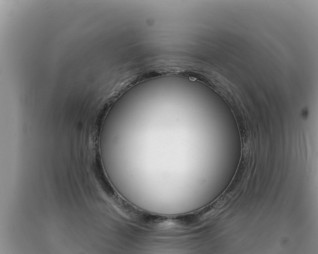 X0000091080460200708061049