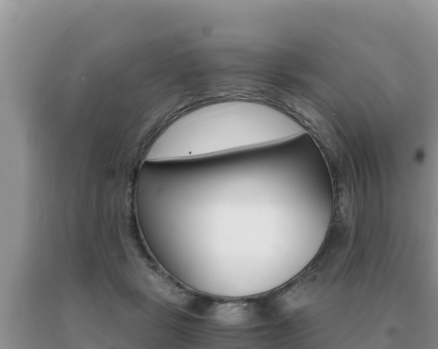 X0000091080461200708061049