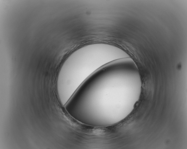 X0000091080462200708061049