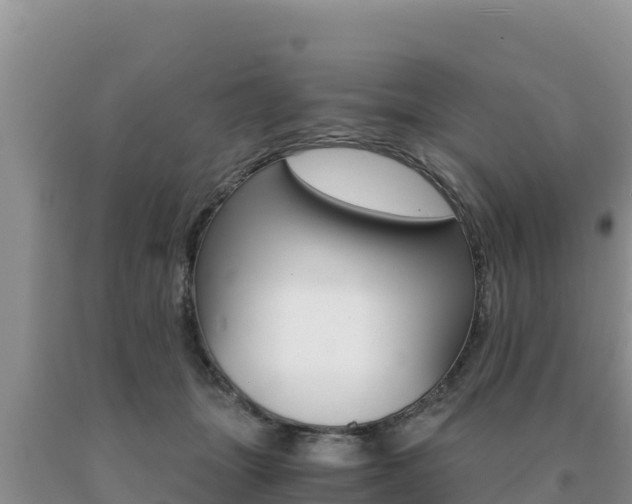 X0000091080463200708061049