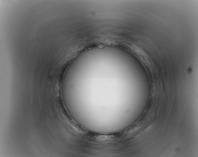 X0000091080465200708061049
