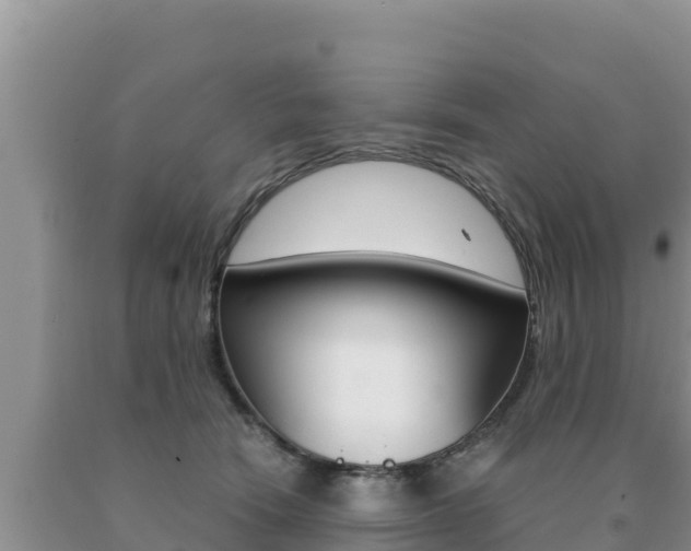 X0000091080466200708061049