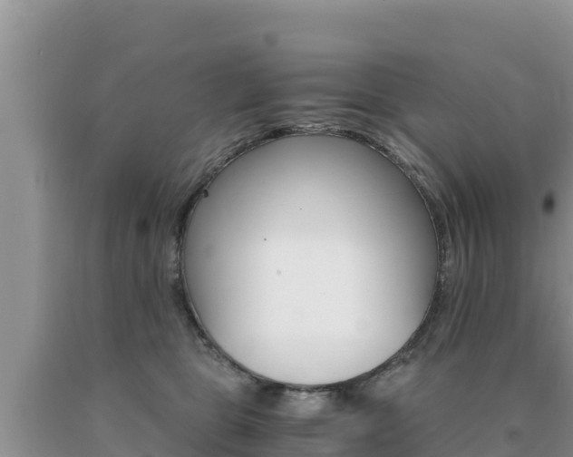 X0000091080469200708061049